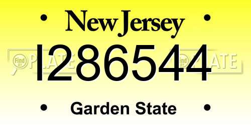 I286544 New Jersey License Plate