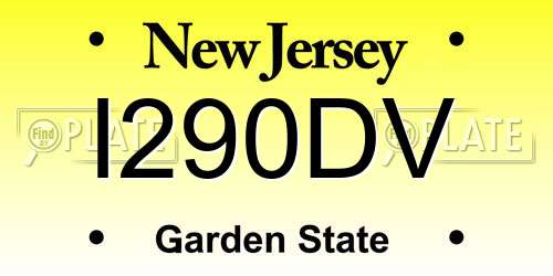 I290DV New Jersey License Plate