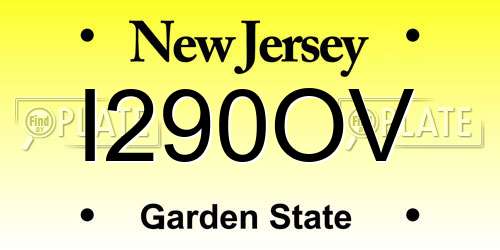 I290OV New Jersey License Plate