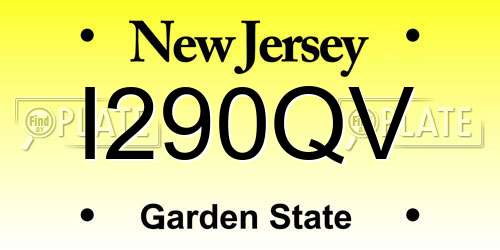 I290QV New Jersey License Plate
