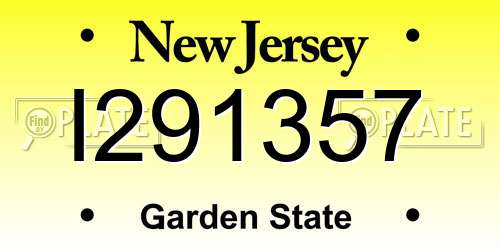 I291357 New Jersey License Plate