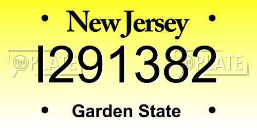 I291382 New Jersey License Plate