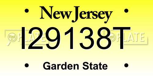 I29138T New Jersey License Plate