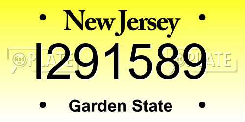 I291589 New Jersey License Plate