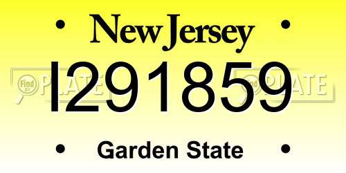 I291859 New Jersey License Plate