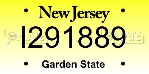 I291889 New Jersey License Plate