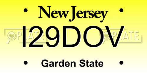 I29DOV New Jersey License Plate