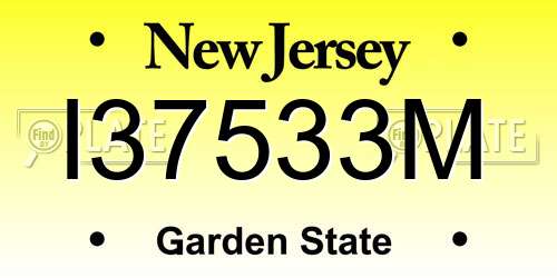 I37533M New Jersey License Plate