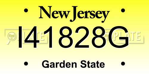 I41828G New Jersey License Plate