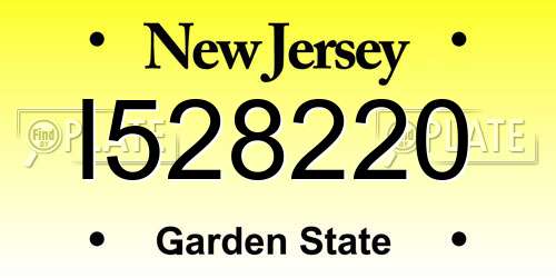 I528220 New Jersey License Plate
