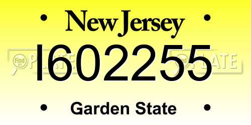 I602255 New Jersey License Plate