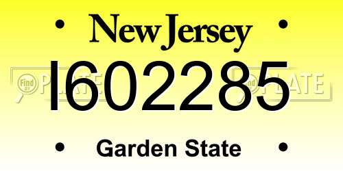 I602285 New Jersey License Plate