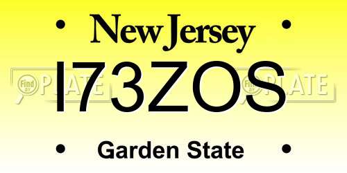 I73ZOS New Jersey License Plate