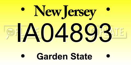 IA04893 New Jersey License Plate