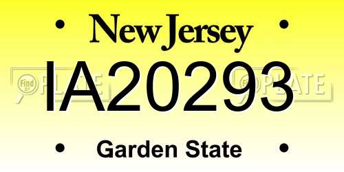 IA20293 New Jersey License Plate