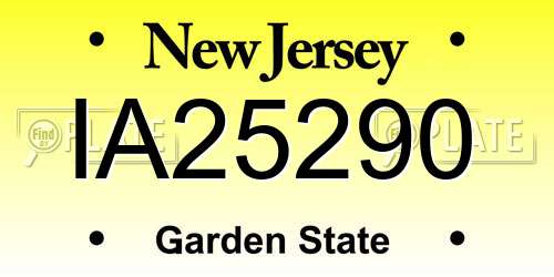 IA25290 New Jersey License Plate