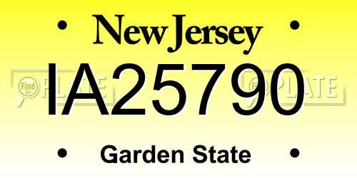 IA25790 New Jersey License Plate