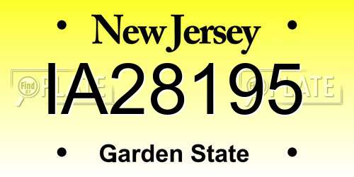 IA28195 New Jersey License Plate