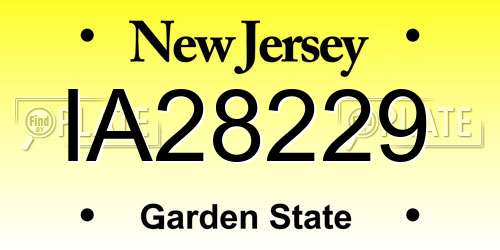 IA28229 New Jersey License Plate