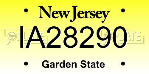 IA28290 New Jersey License Plate