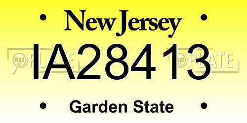 IA28413 New Jersey License Plate