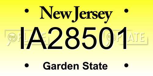 IA28501 New Jersey License Plate