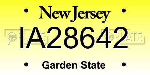 IA28642 New Jersey License Plate