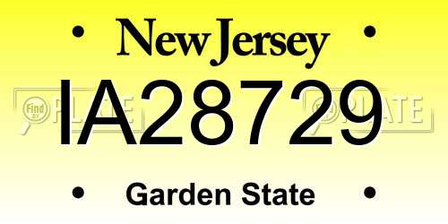 IA28729 New Jersey License Plate