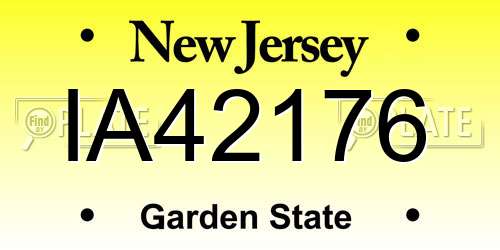 IA42176 New Jersey License Plate