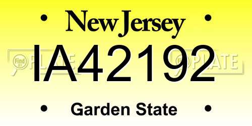IA42192 New Jersey License Plate