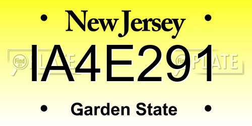 IA4E291 New Jersey License Plate