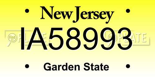IA58993 New Jersey License Plate