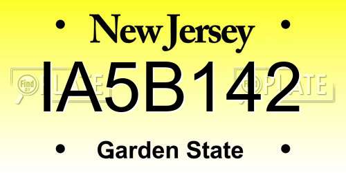 IA5B142 New Jersey License Plate
