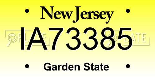 IA73385 New Jersey License Plate