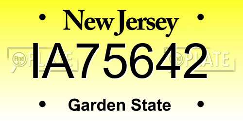 IA75642 New Jersey License Plate