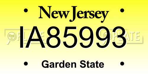 IA85993 New Jersey License Plate