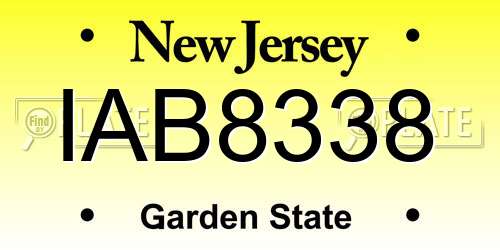 IAB8338 New Jersey License Plate