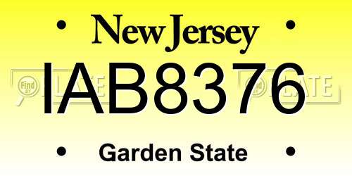 IAB8376 New Jersey License Plate