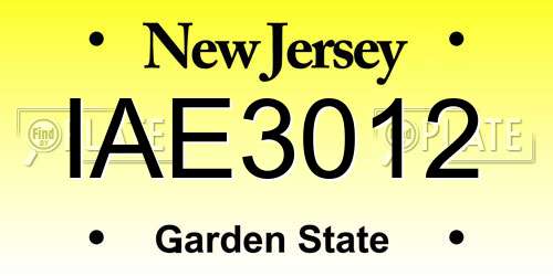 IAE3012 New Jersey License Plate