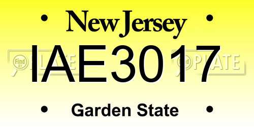 IAE3017 New Jersey License Plate