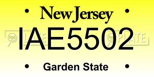IAE5502 New Jersey License Plate