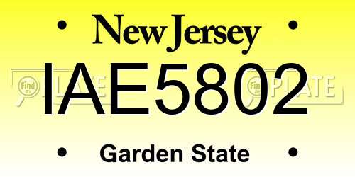 IAE5802 New Jersey License Plate