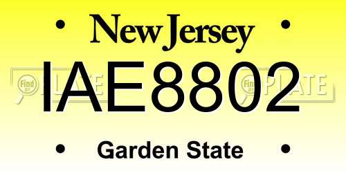 IAE8802 New Jersey License Plate