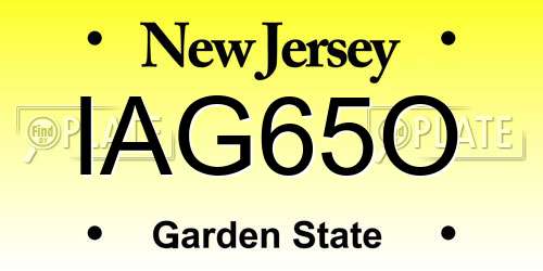 IAG65O New Jersey License Plate