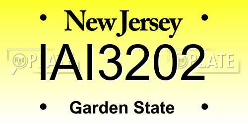 IAI3202 New Jersey License Plate