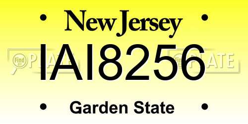 IAI8256 New Jersey License Plate