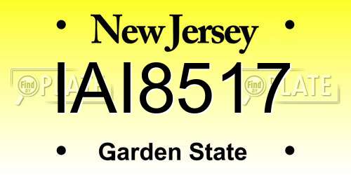 IAI8517 New Jersey License Plate