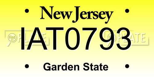 IAT0793 New Jersey License Plate