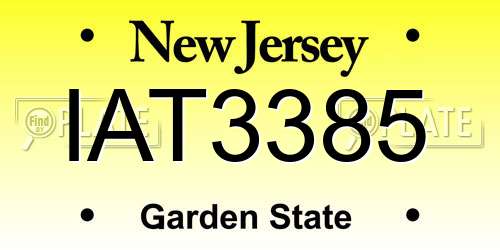 IAT3385 New Jersey License Plate
