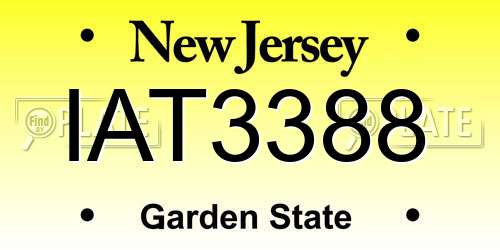 IAT3388 New Jersey License Plate